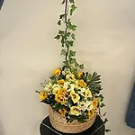 Sunrise Sea Garden Апартаменты *